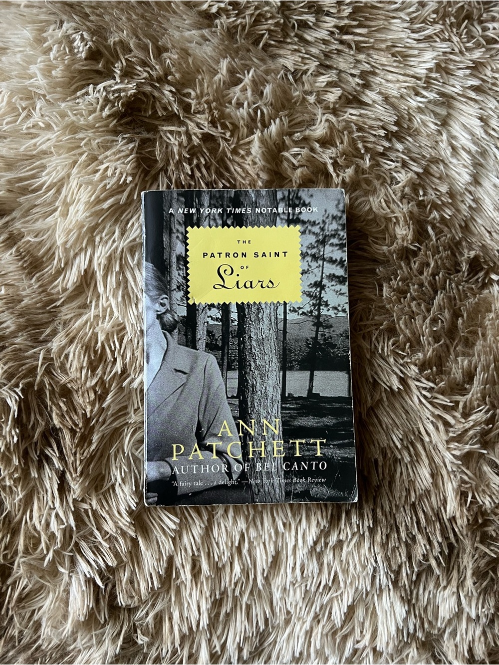 The Patron Saint of Liars by Ann Patchett - Yellow & Black Cover